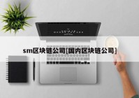 sm区块链公司[国内区块链公司]