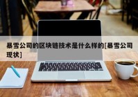 暴雪公司的区块链技术是什么样的[暴雪公司现状]